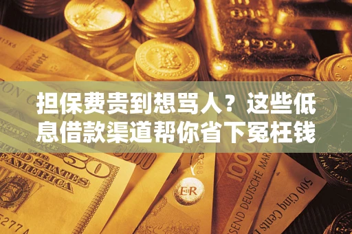 北京担保费贵到想骂人？这些低息借款渠道帮你省下冤枉钱