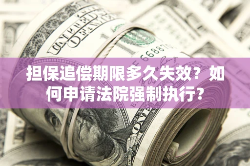 北京担保追偿期限多久失效？如何申请法院强制执行？