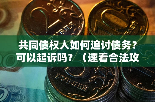 北京共同债权人如何追讨债务？可以起诉吗？（速看合法攻略）