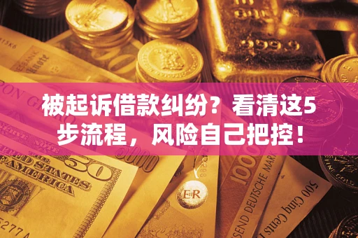北京被起诉借款纠纷？看清这5步流程，风险自己把控！